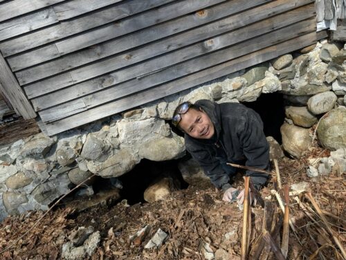 fcef19f7-3286-4127-819d-2f9bdff119a7